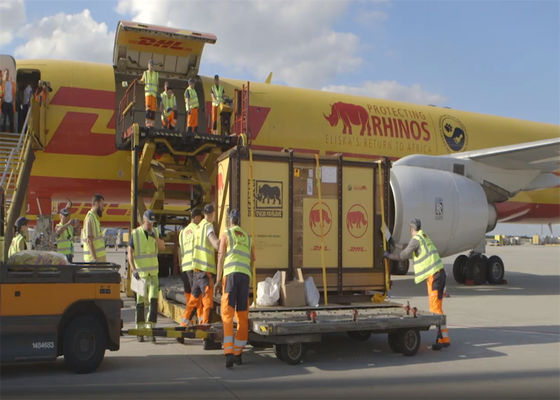 100 kg DDP Service de messagerie express mondial