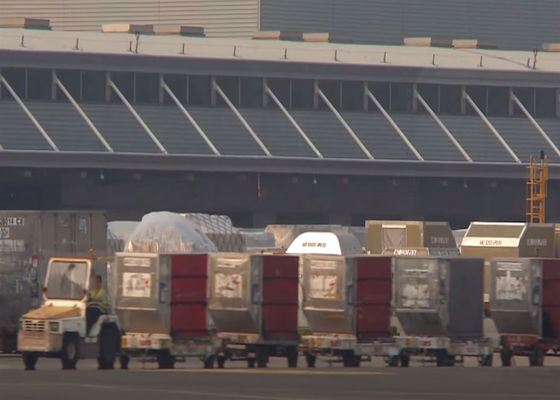 DHL International Livraison de fret aérien Logistique aérienne mondiale 5-8 jours ouvrables