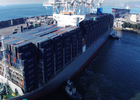 FCL LCL Transporteurs maritimes CIF Livraison de colis internationaux de porte à porte
