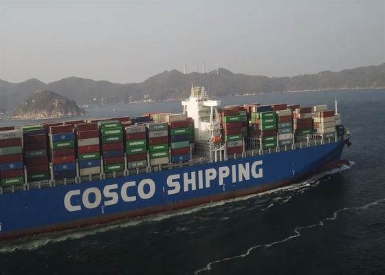 FCL Transporteur maritime Chine vers l'Australie Transport logistique mondial