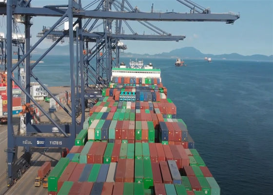 LCL FCL Transfert international de fret maritime de la Chine au Vietnam