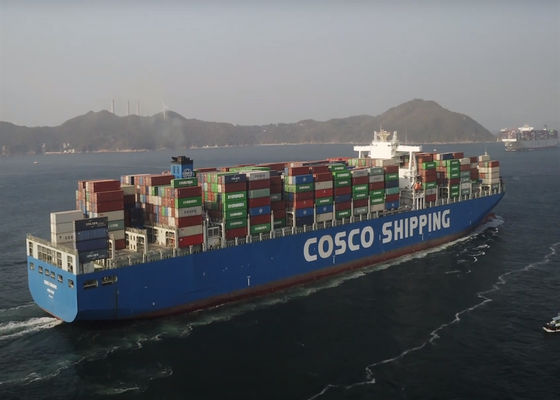Port à port PTP Fret maritime international de Chine au Canada Livraison de conteneurs FCL