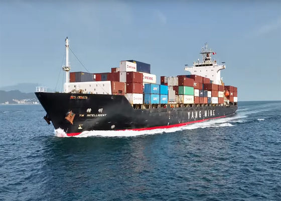 Port à port PTP Fret maritime international de Chine au Canada Livraison de conteneurs FCL