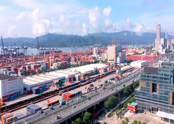 Logistique DDP DDU Expédition maritime dans le monde entier Service de livraison de porte à porte